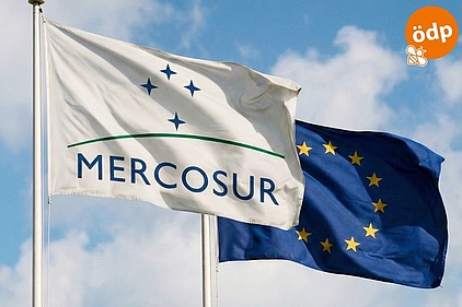 Fahnen Mercosur und Europa Fahnen Mercosur und Europa