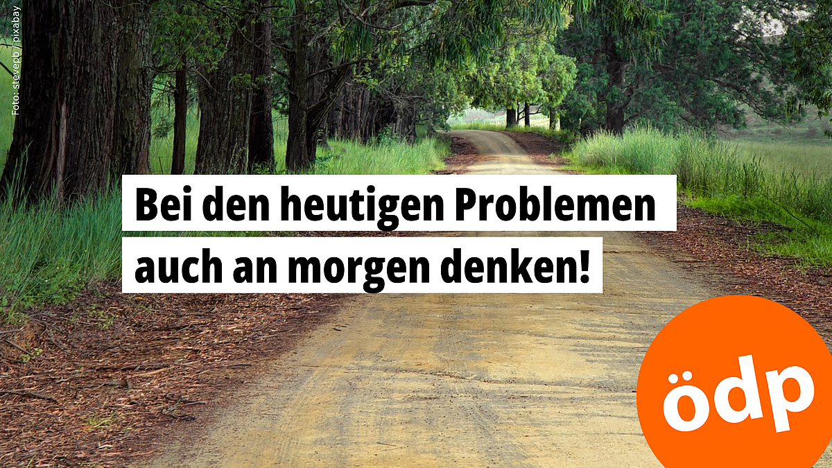 Weg in die Zukunft: Bei den heutigen Problemen auch an morgen denken! -- Foto: stevepb / pixabay