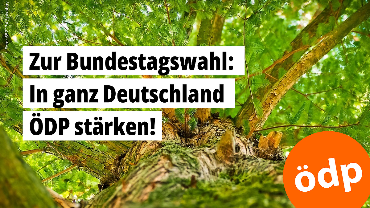 Zur Bundestagswahl: In ganz Deutschland ÖDP stärken! Foto: 652234 / pixabay.com