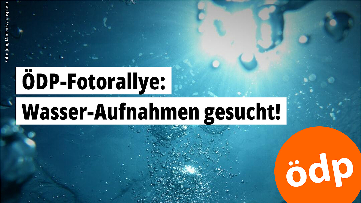 ÖDP-Fotorallye im Juni: Wasser-Aufnahmen gesucht! – Foto: Jong Marshes/unsplash