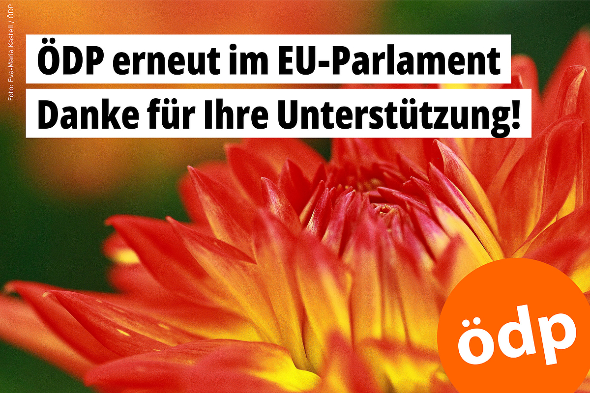 ÖDP erneut im EU-Parlament – Danke für Ihre Unterstützung! – Foto: Eva-Maria Kastell / ÖDP