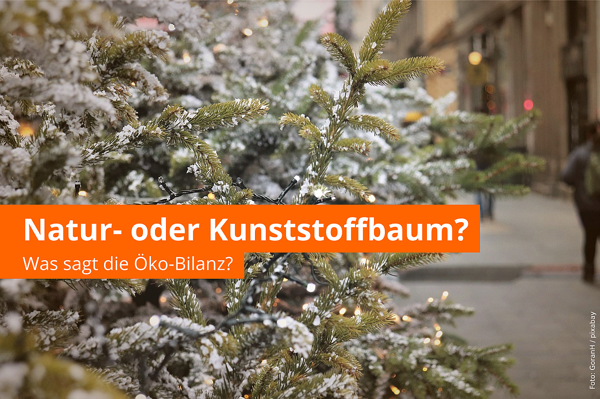 Natur- oder ein Kunststoffbaum: Was sagt die Öko-Bilanz? -- Foto: GoranH / pixabay.com