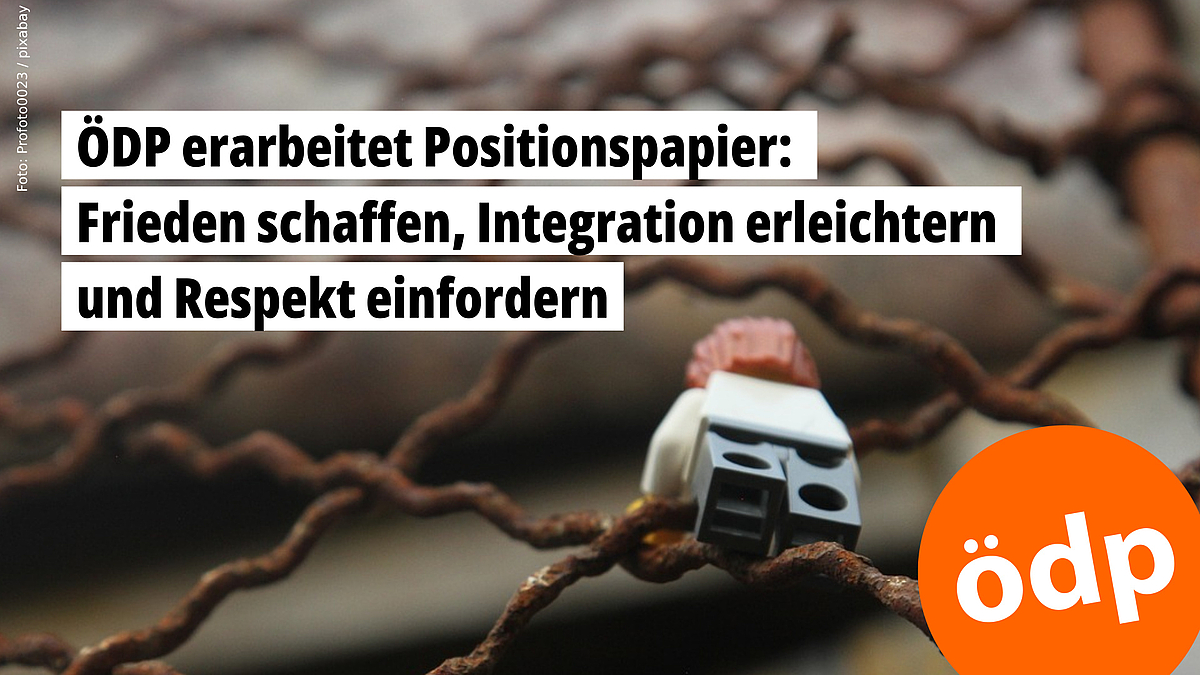 ÖDP erarbeitet Positionspapier zu Migration: Frieden schaffen, Integration erleichtern und Respekt einfordern -- Foto: Profoto0023 / pixabay