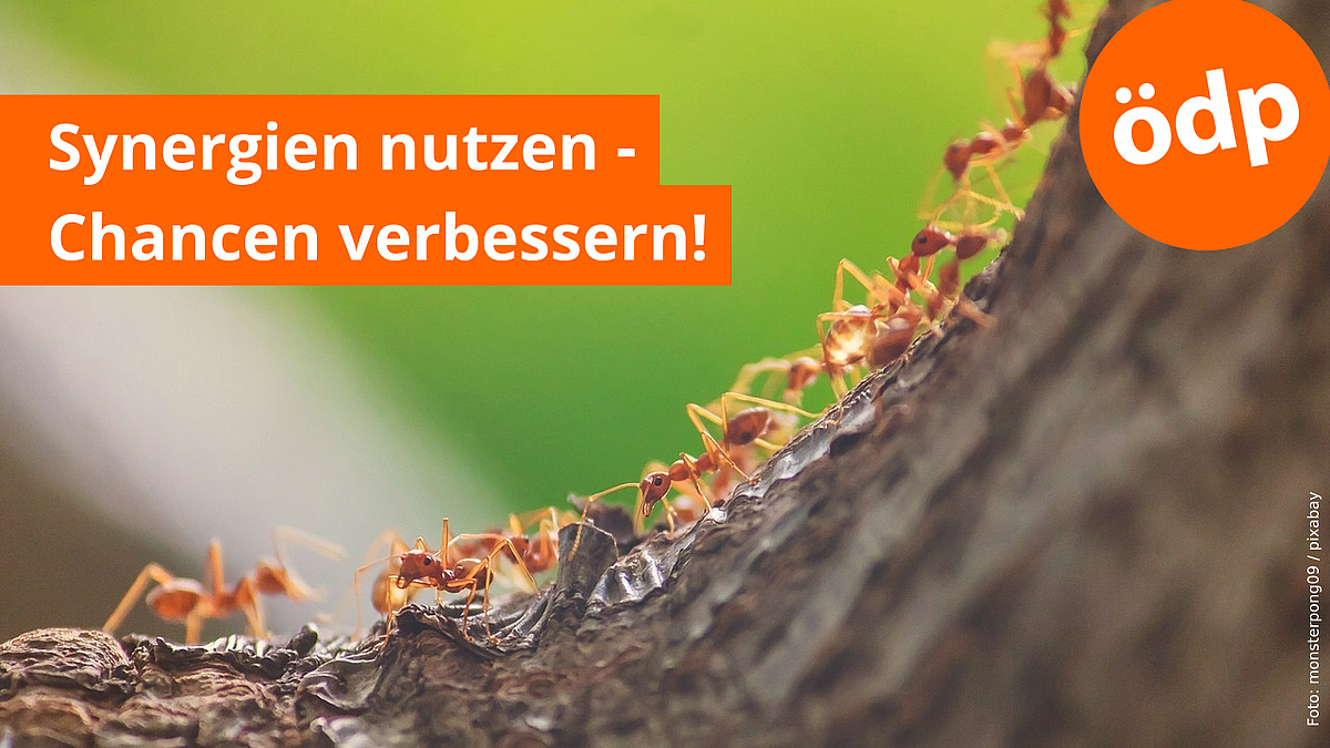 Synergien nutzen - Chancen verbessern!