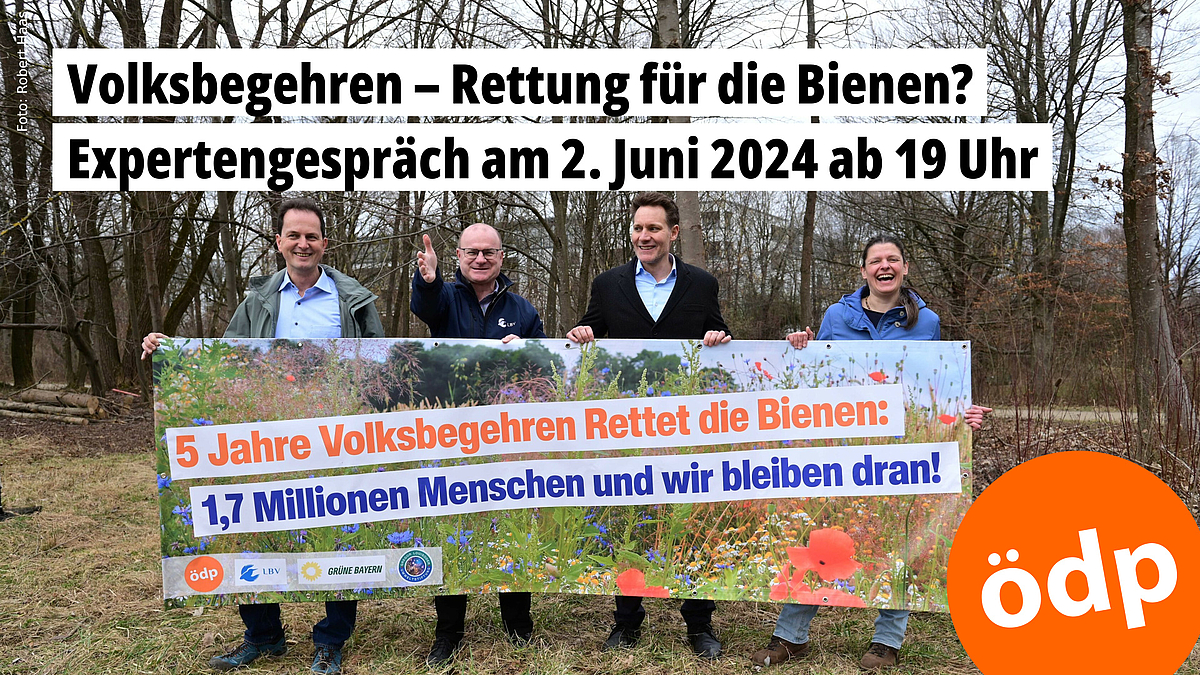 Volksbegehren – Rettung für die Bienen? Expertengespräch am 2. Juni 2024 ab 19 Uhr - Foto: Der Trägerkreis des Volksbegehrens zieht nach 5 Jahren Bilanz (v.l.): Claus Obermeier, Dr. Norbert Schäffer, Ludwig Hartmann und Agnes Becker, (C) Robert Haas