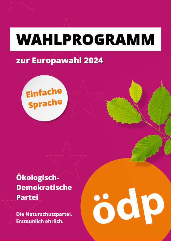 Europawahlprogramm leichte Sprache