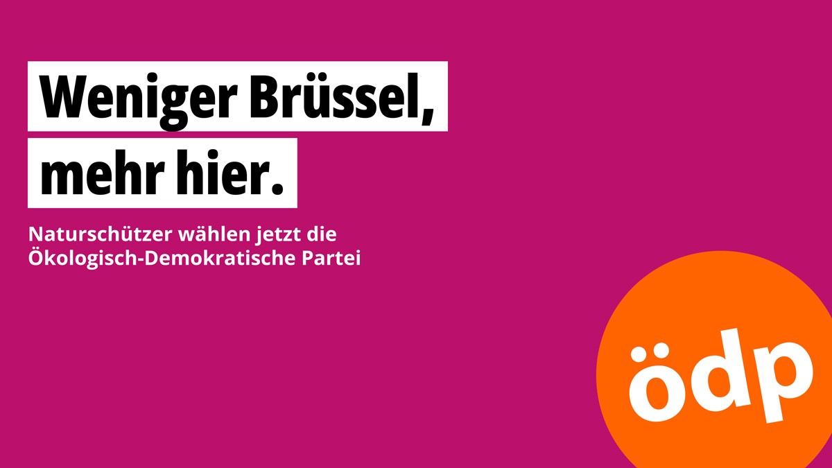 Weniger Brüssel, mehr hier.